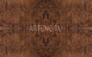 Имбайя корень - artcnc.ru