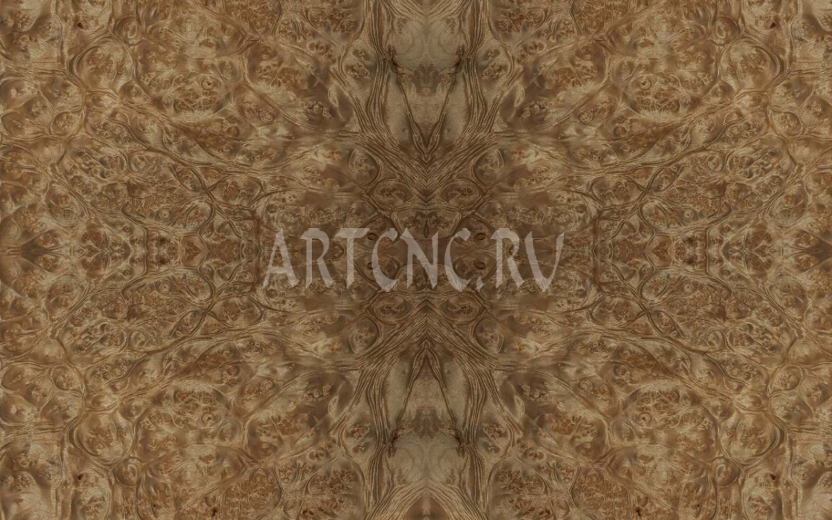 Корень мадрона золотая - artcnc.ru