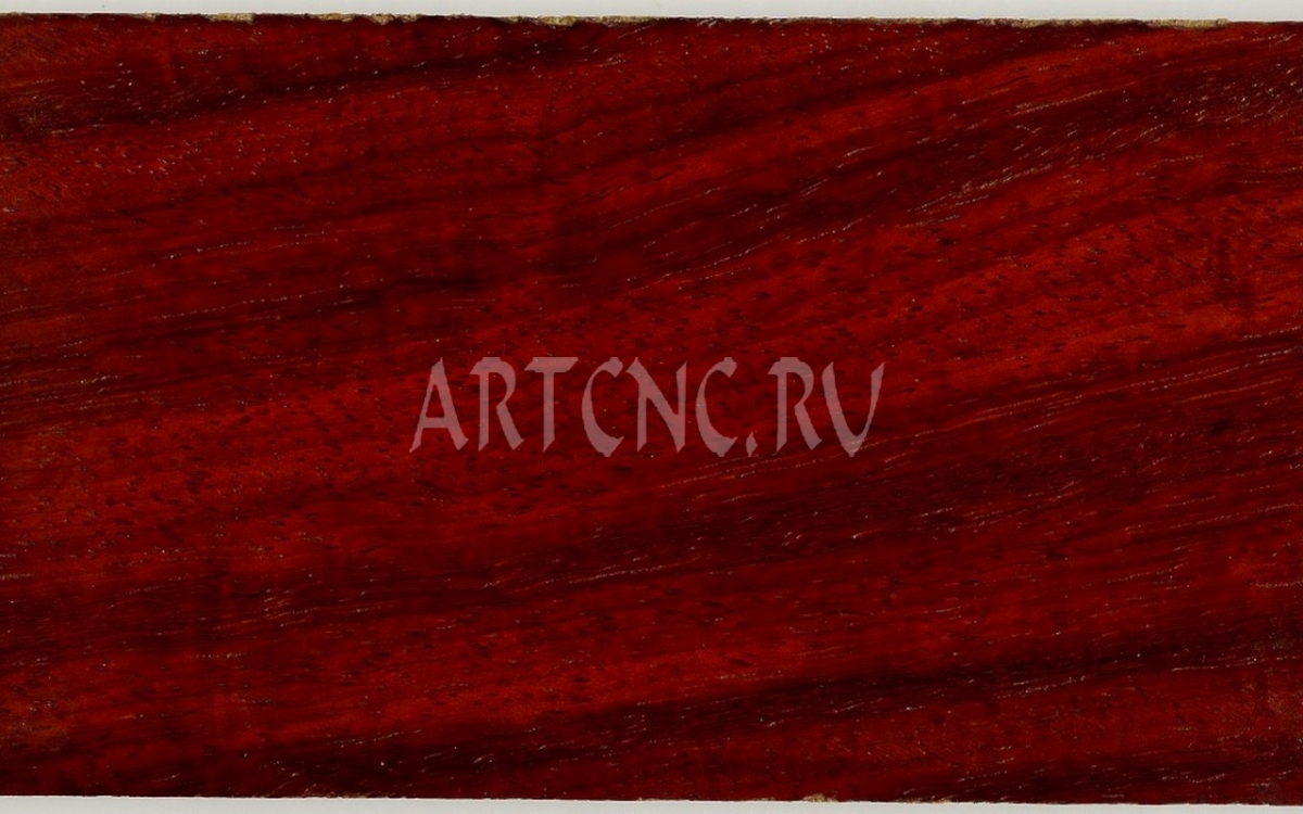 Падук - artcnc.ru