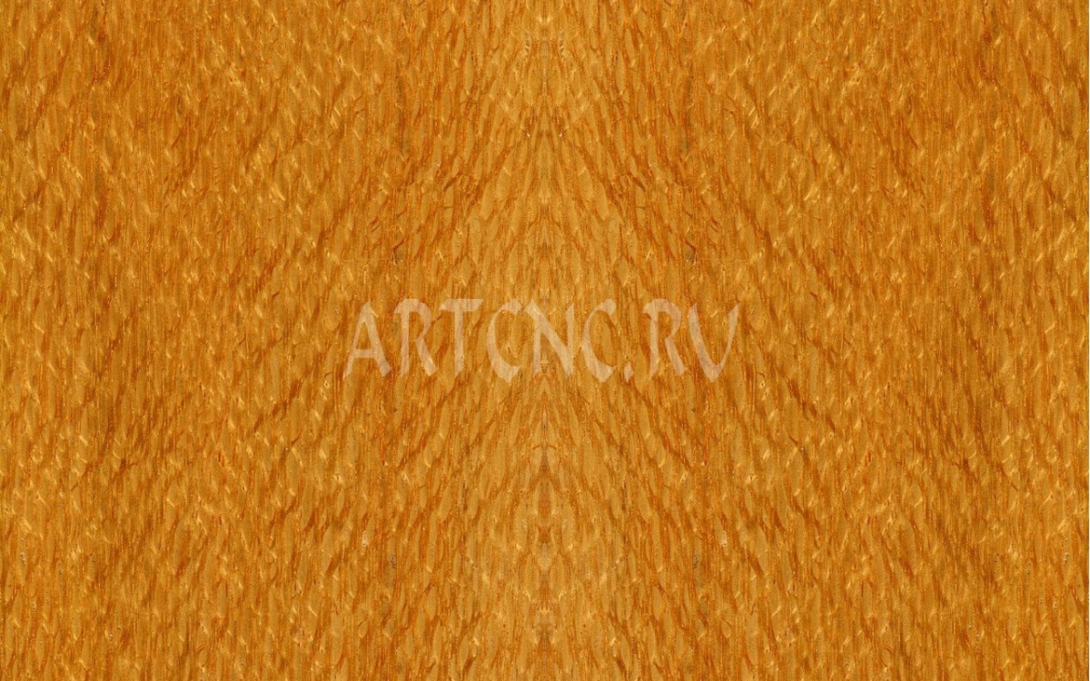 Платан - artcnc.ru